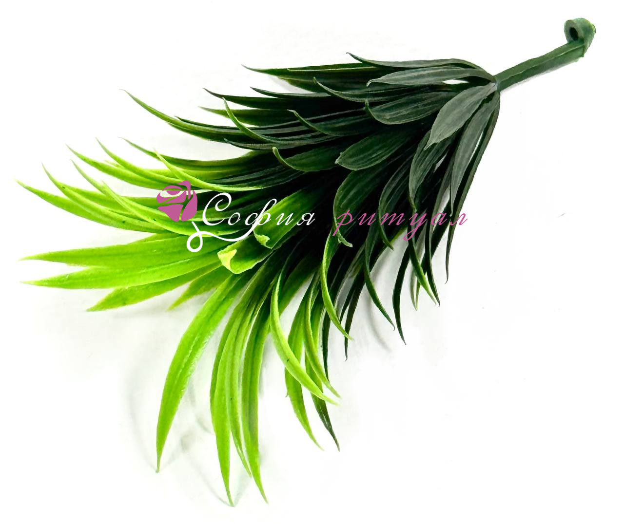 photo_2025-11-18_18-35-37 photo 2025 11 18 18 35 37