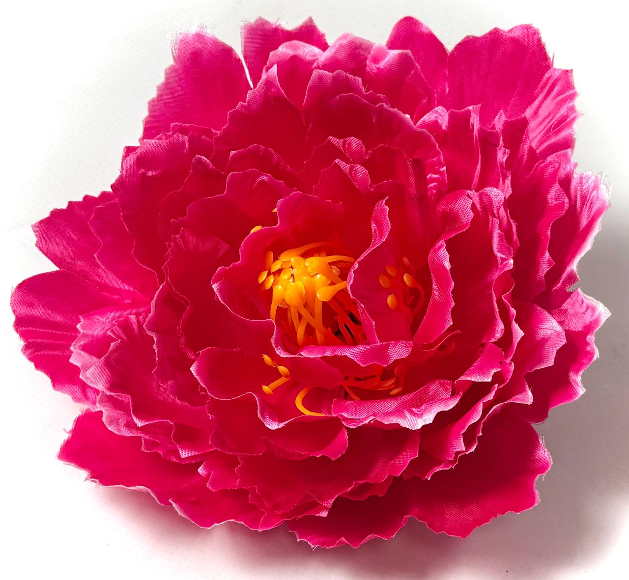 photo_2025-11-06_12-18-28 photo 2025 11 06 12 18 28