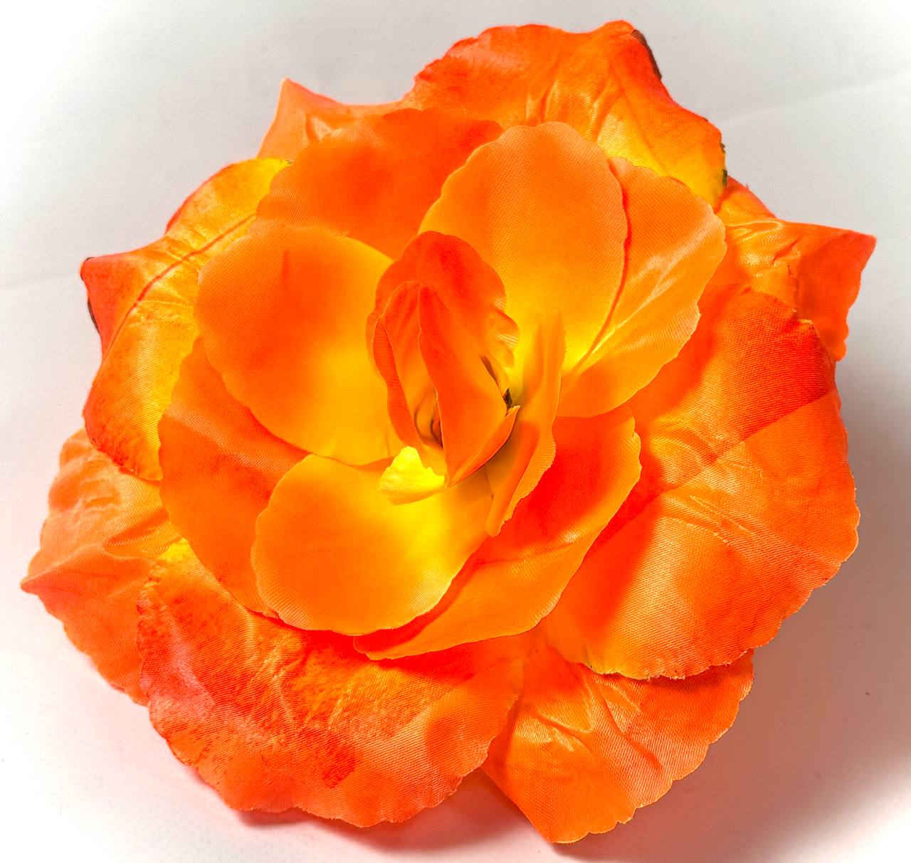 photo_2025-11-06_12-49-28 photo 2025 11 06 12 49 28