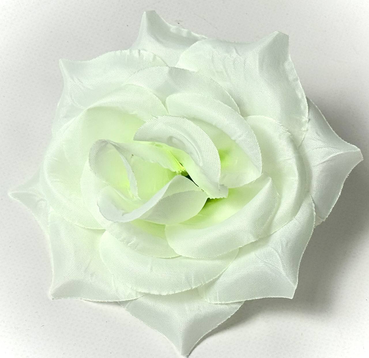 photo_2025-11-06_12-53-37 photo 2025 11 06 12 53 37