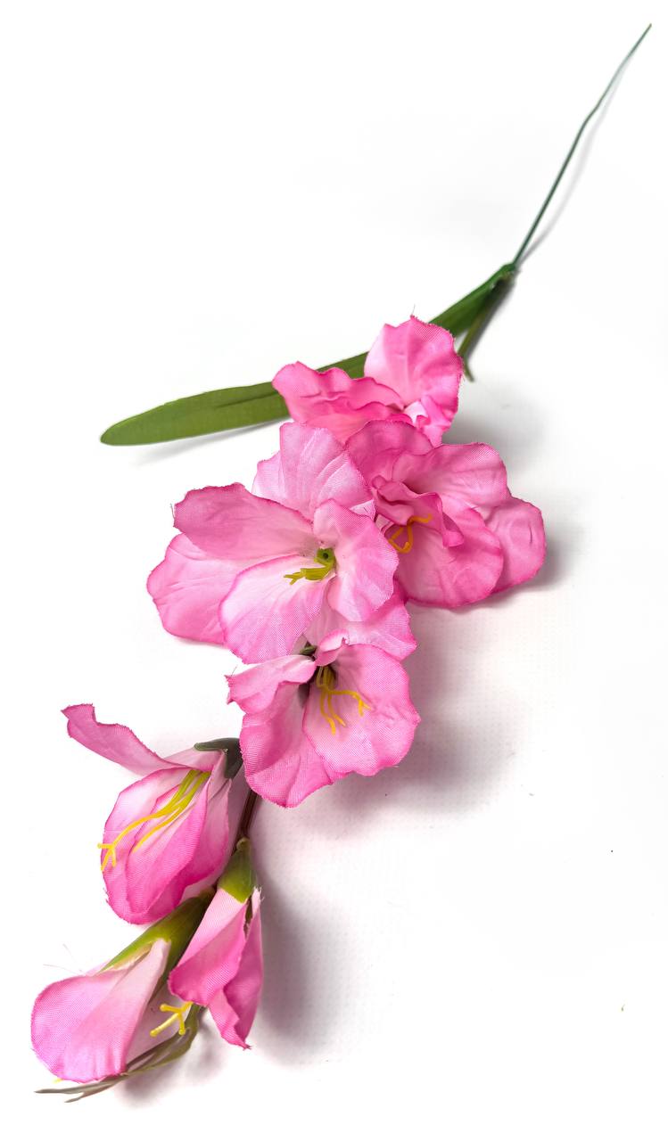 photo_2025-11-06_17-21-16 photo 2025 11 06 17 21 16