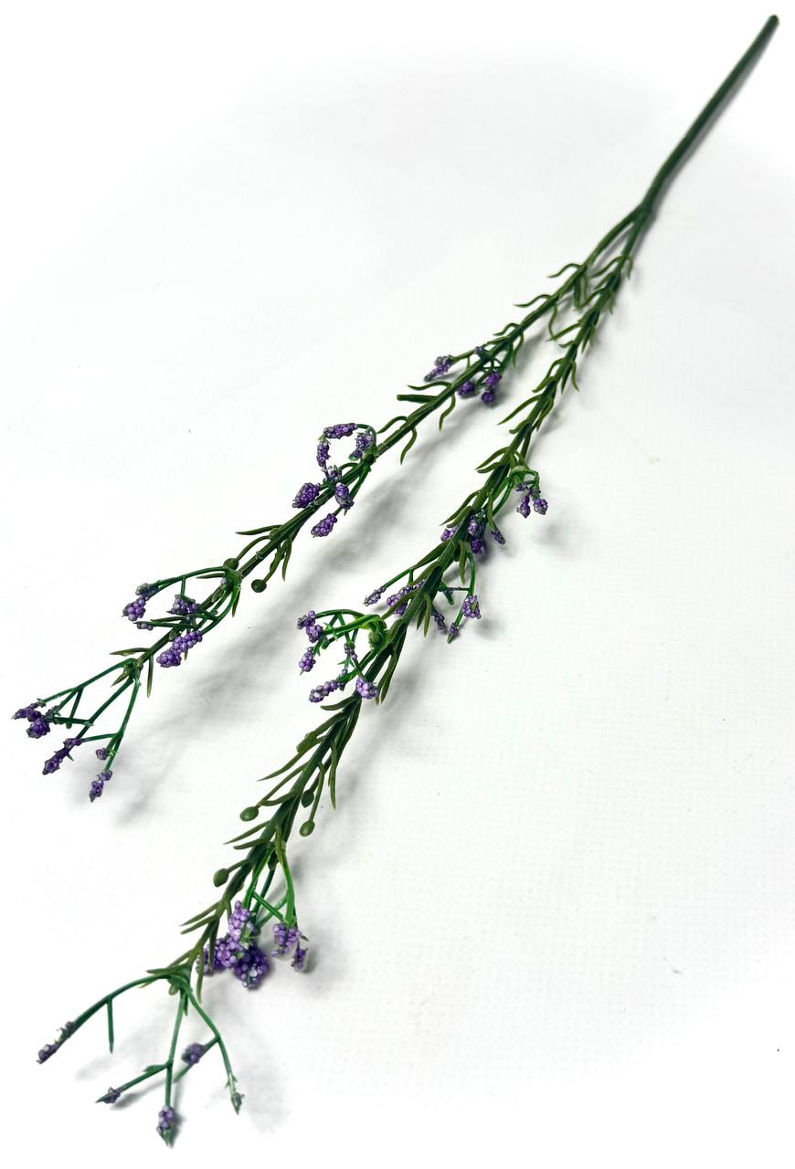 photo_2025-11-06_17-25-18 photo 2025 11 06 17 25 18