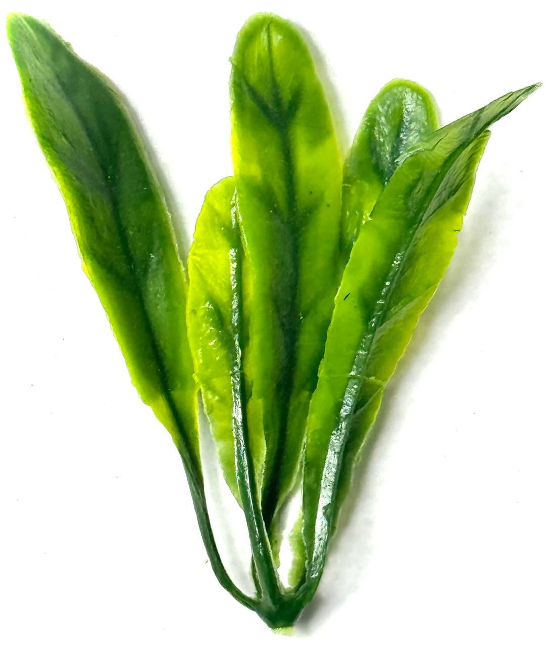 photo_2025-11-06_18-55-00 photo 2025 11 06 18 55 00