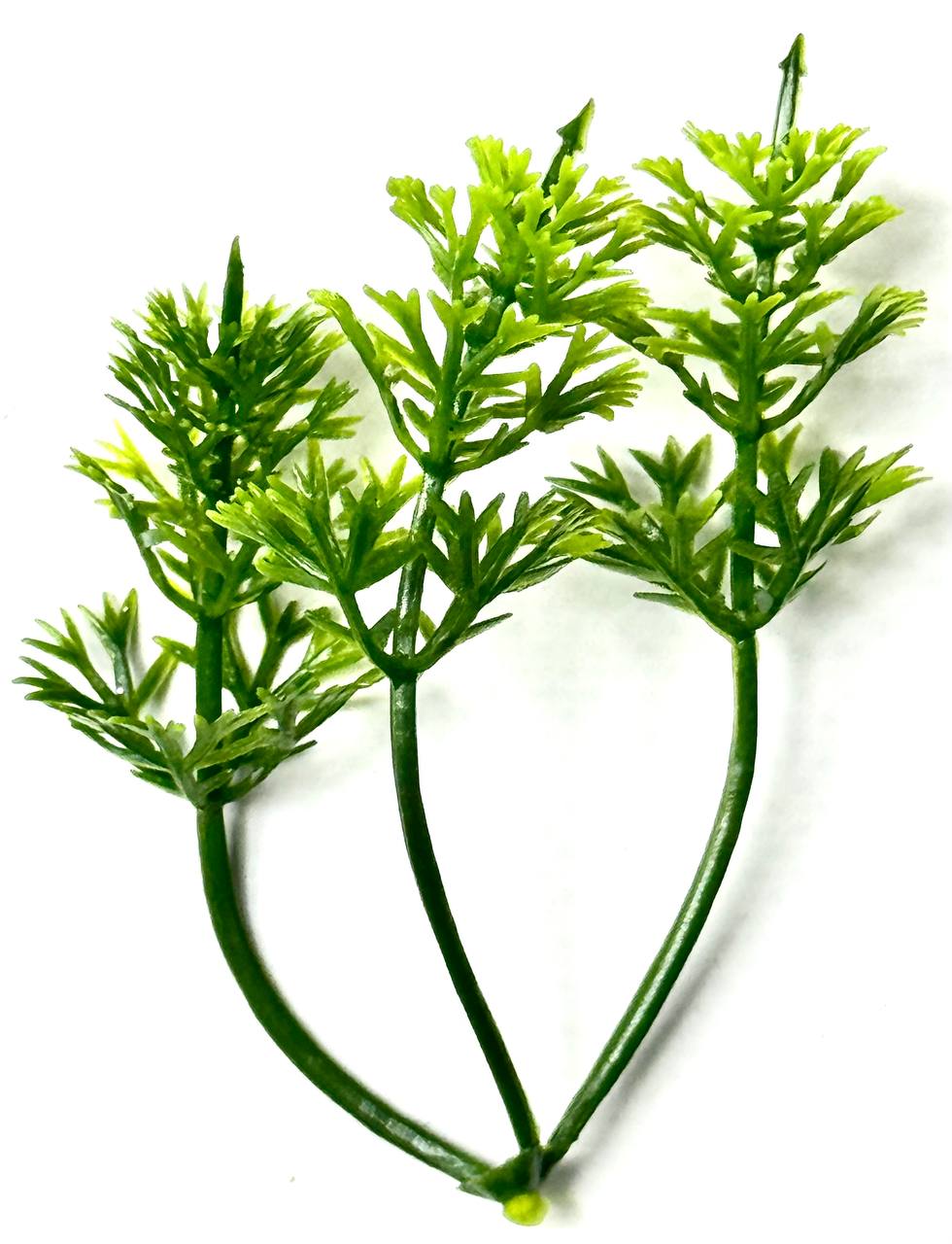 photo_2025-11-06_18-55-20 photo 2025 11 06 18 55 20