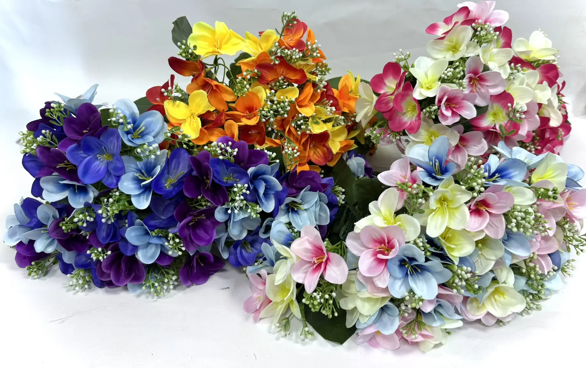 IMG_20260220_103345 img 20260220 103345